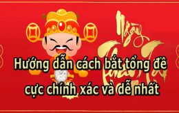 Tổng đề là gì?