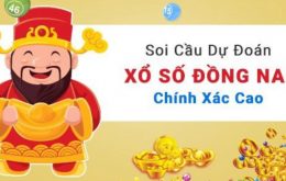 Soi cầu Đồng Nai chuẩn nhất